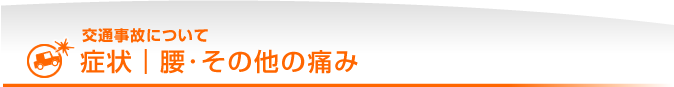 症状｜腰・その他の痛み｜交通事故について